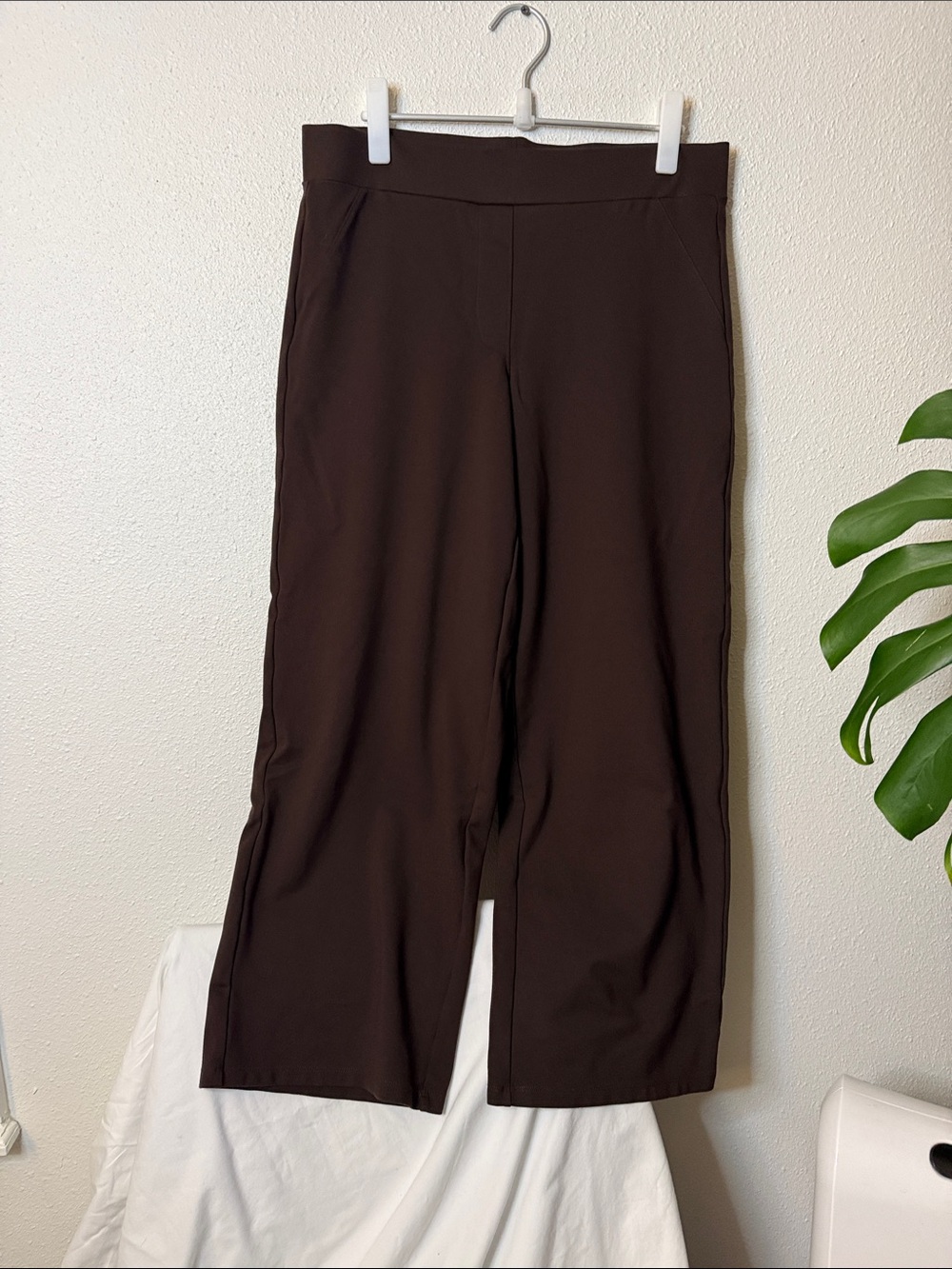 Quince Wide-Leg Pull-On Pants — Brown